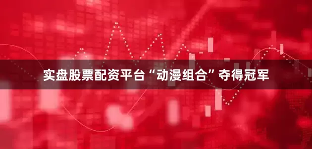 实盘股票配资平台“动漫组合”夺得冠军