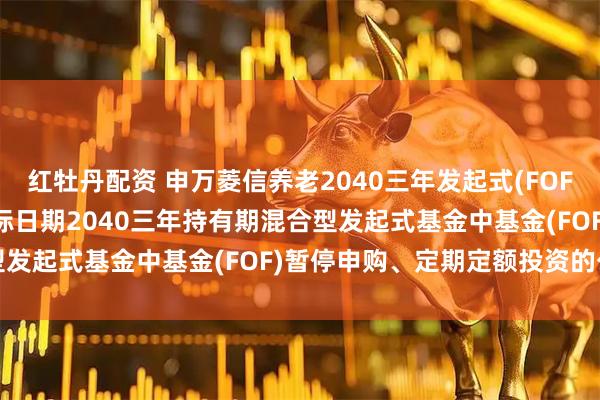 红牡丹配资 申万菱信养老2040三年发起式(FOF): 关于申万菱信养老目标日期2040三年持有期混合型发起式基金中基金(FOF)暂停申购、定期定额投资的公告